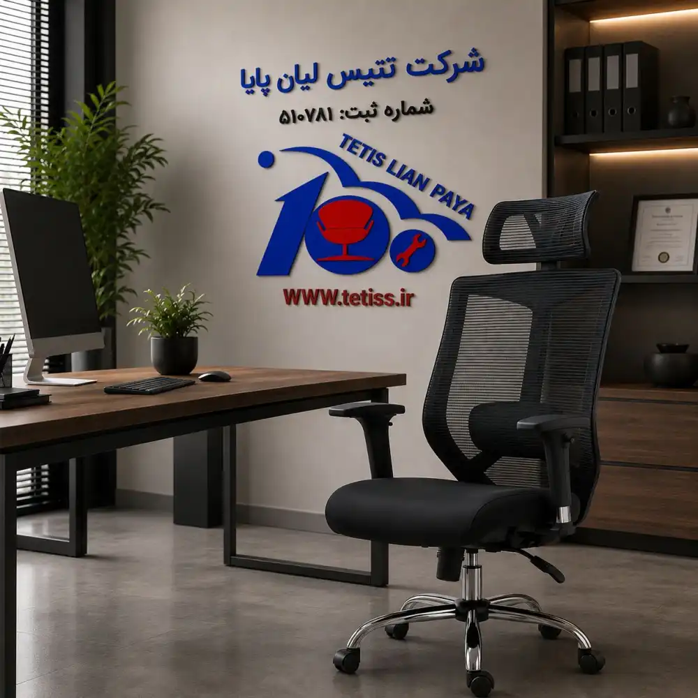 صندلی مدیریتی راشن M890B - تصویر ۲