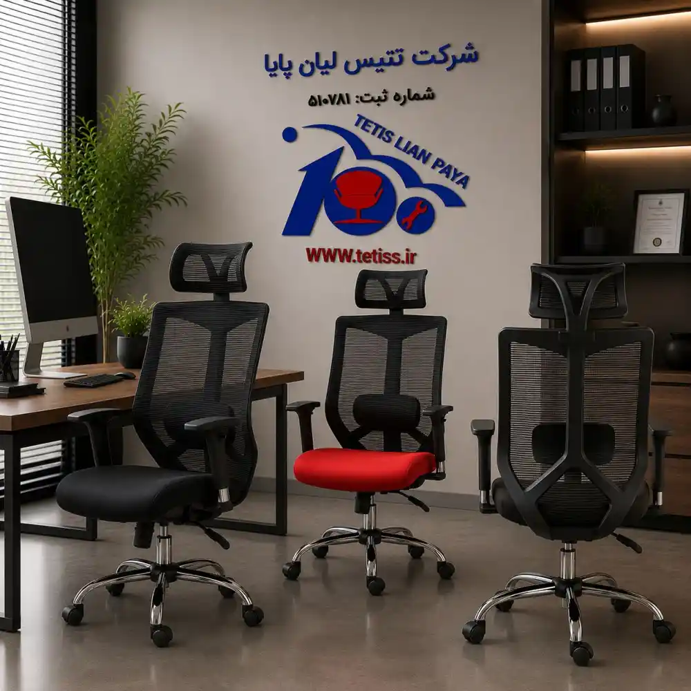 صندلی مدیریتی راشن M890B - تصویر ۶