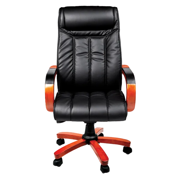 صندلی مدیریتی راحتیران کد T 35-80 - تصویر ۲