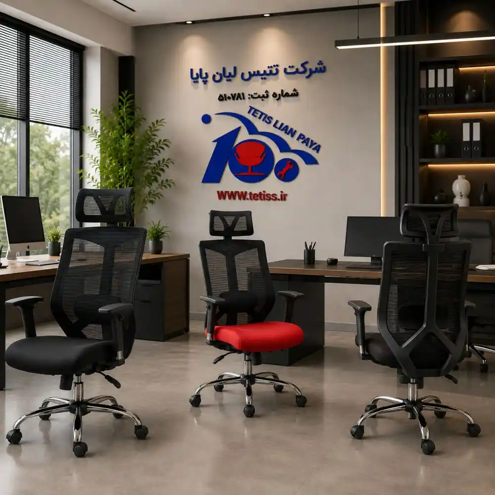 صندلی مدیریتی راشن M890B - تصویر ۴