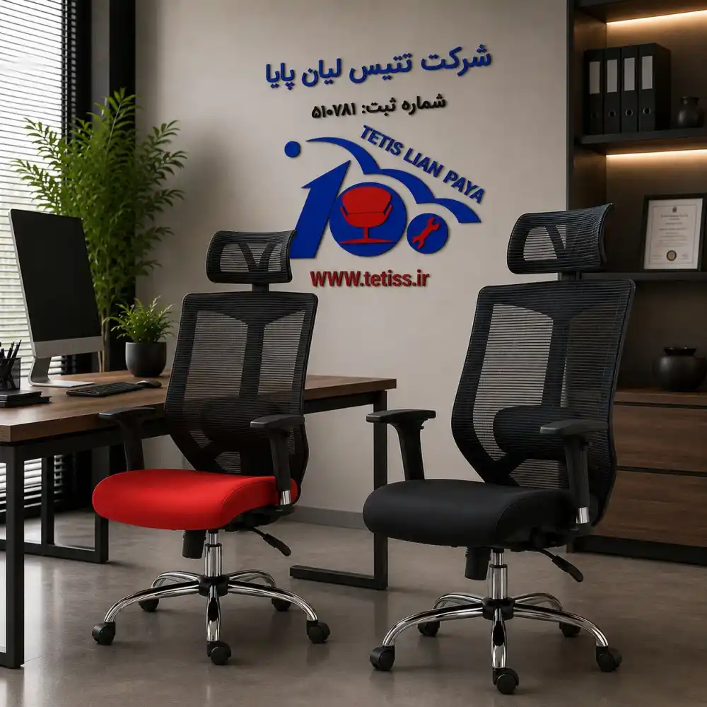 صندلی مدیریتی راشن M890B - تصویر ۵