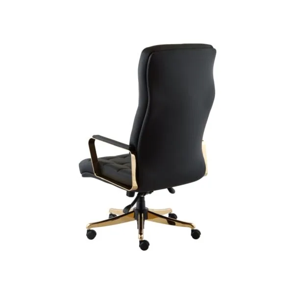 صندلی مدیریتی راشن M950P - تصویر ۲