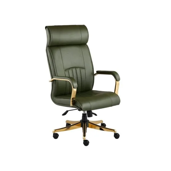 صندلی مدیریتی راشن M920 P