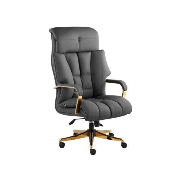 صندلی مدیریتی راشن M900P