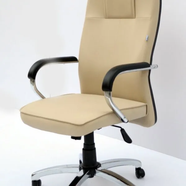صندلی مدیریتی M1020 طراحان